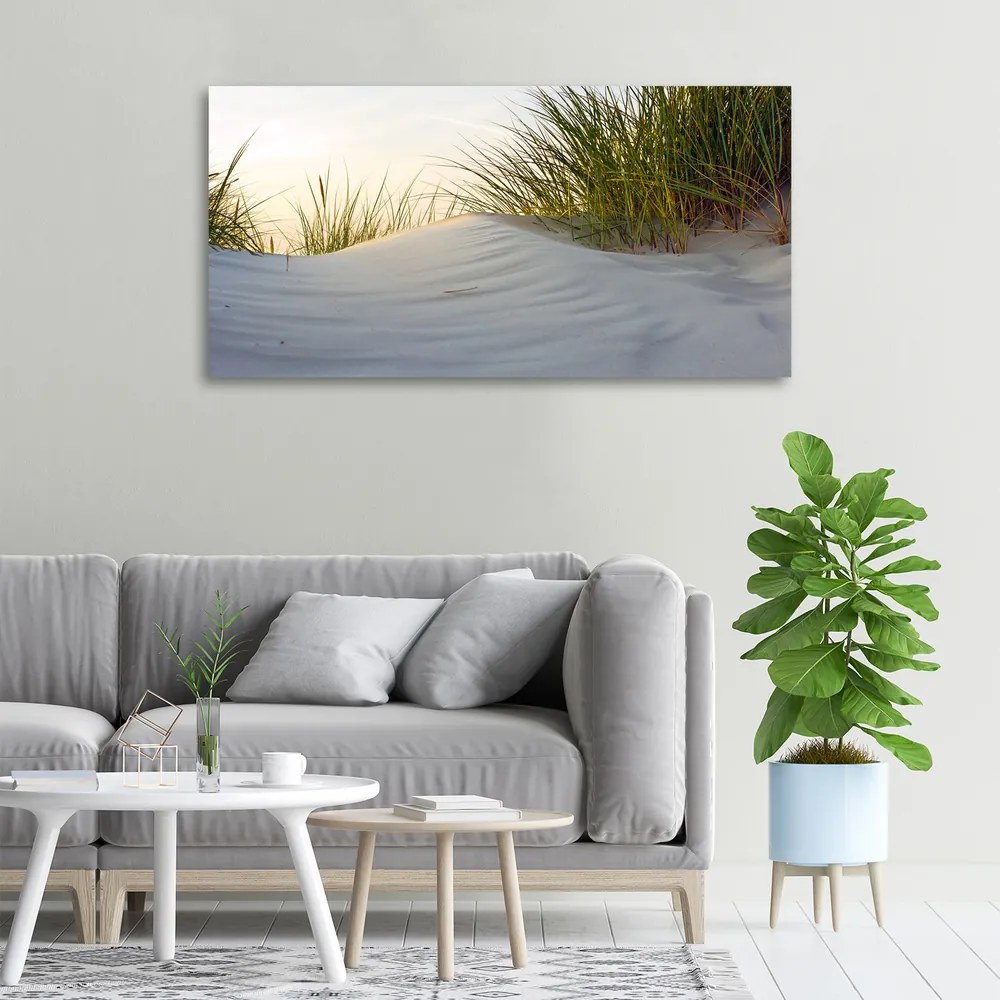 Imprimare tablou canvas Dune de coastă