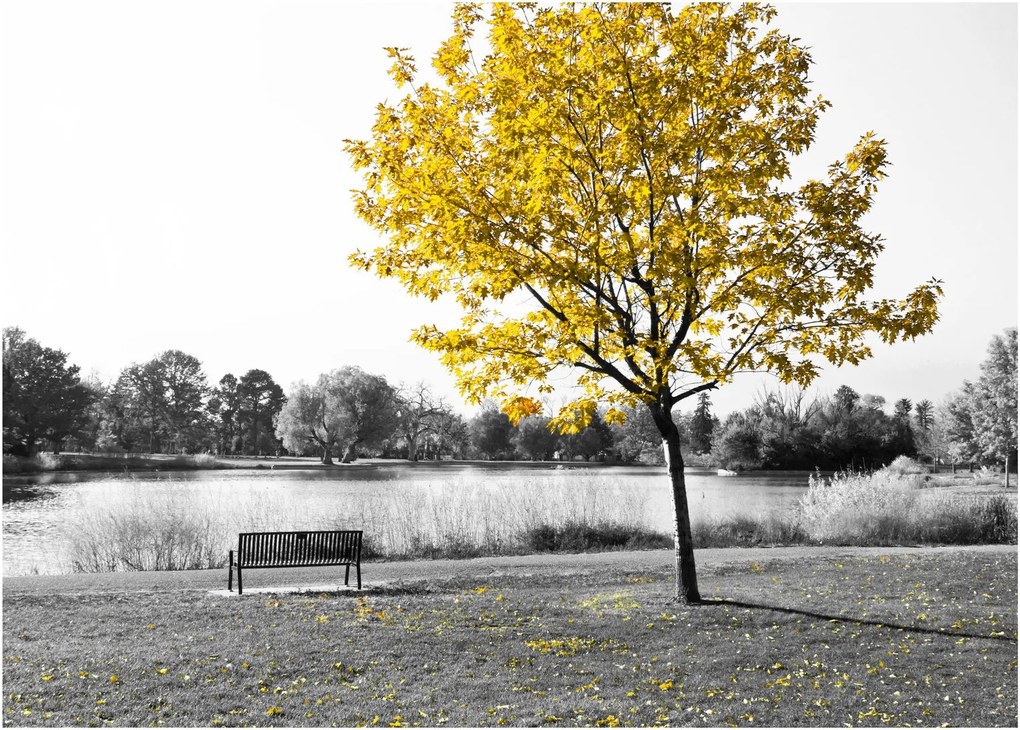 Tablou - relaxare în parc (70x50 cm)
