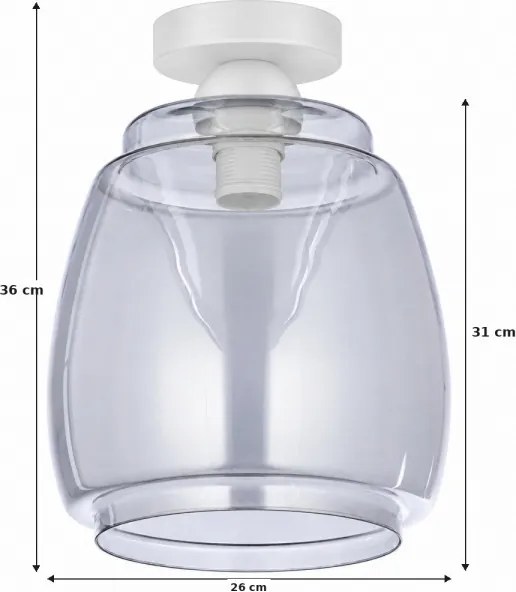BRILAGI - Plafonieră LED R GLASS 1xE27/60W/230V diam. 26 cm alb/gri fumuriu