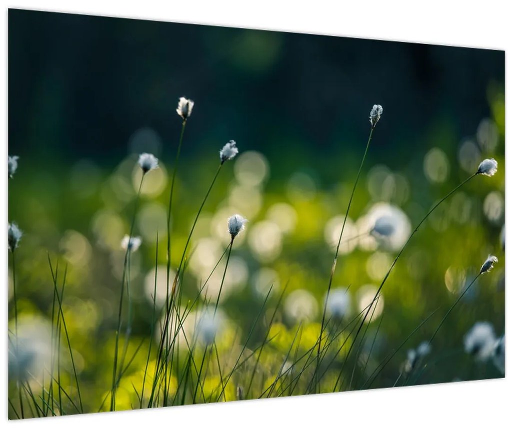 Tablou - Iarbă (90x60 cm)