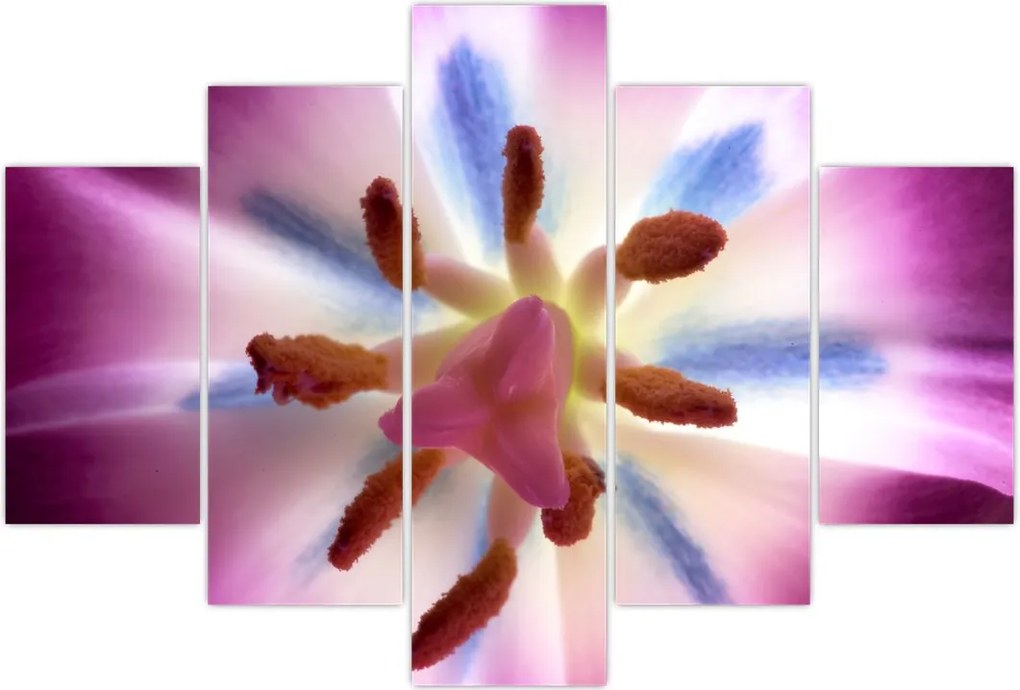 Tablou - Laleaua detailat (150x105 cm)