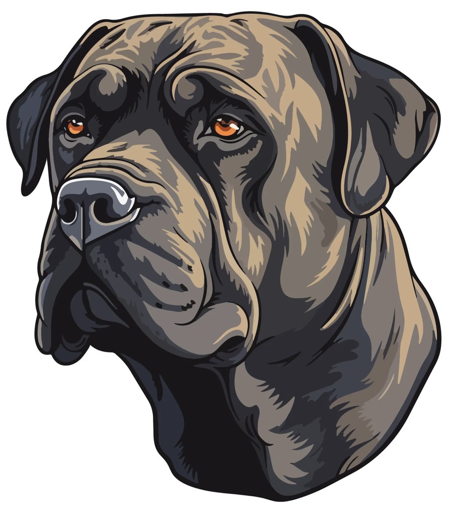PIPPER. Autocolant Cane Corso mărimea: 60cm