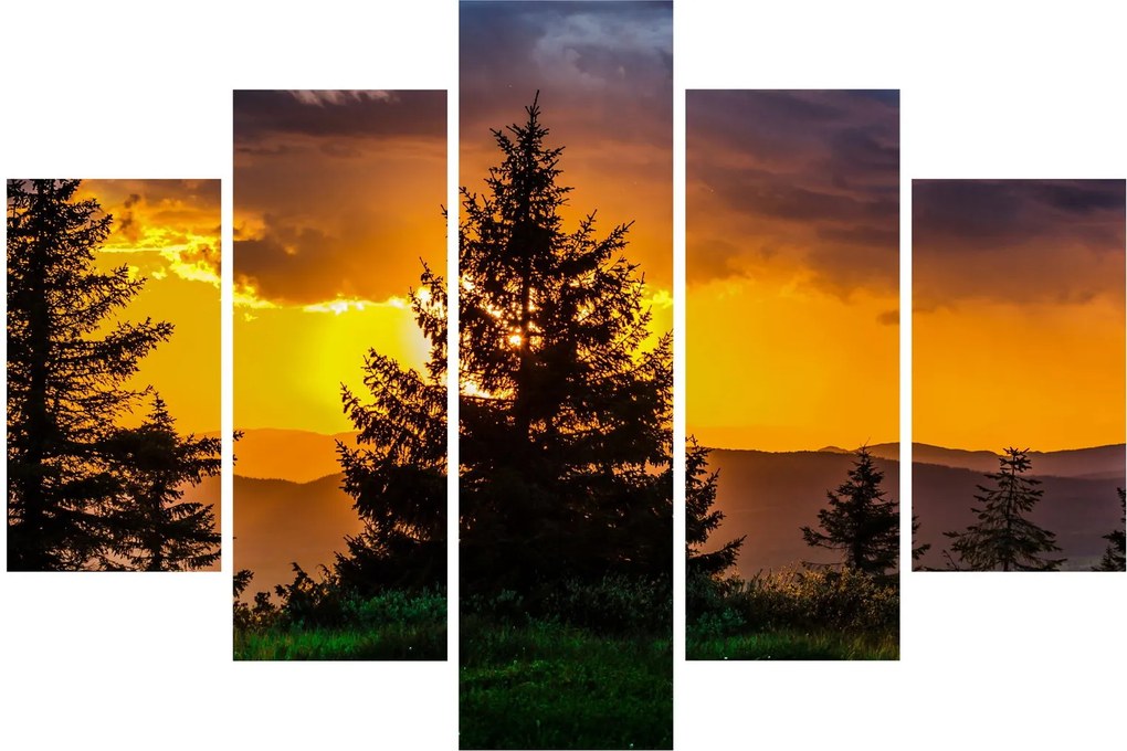 Tablou - coniferi (150x105 cm)