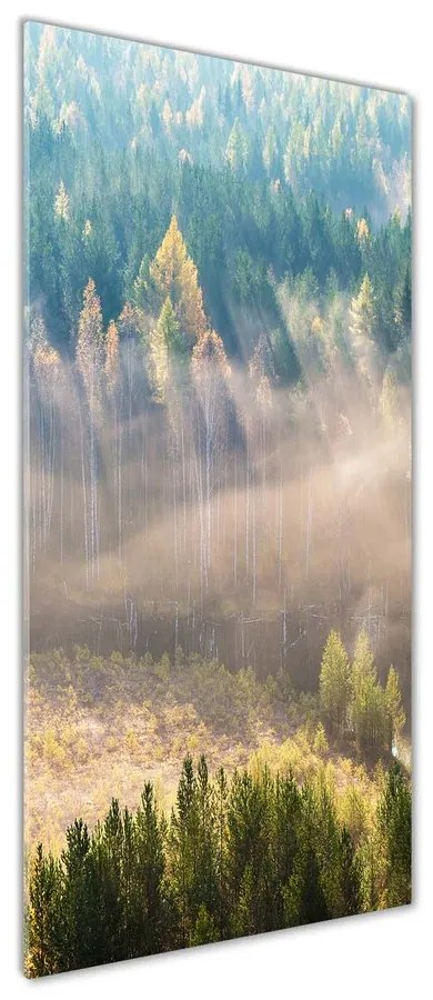 Tablou Printat Pe Sticlă Ceață peste pădure