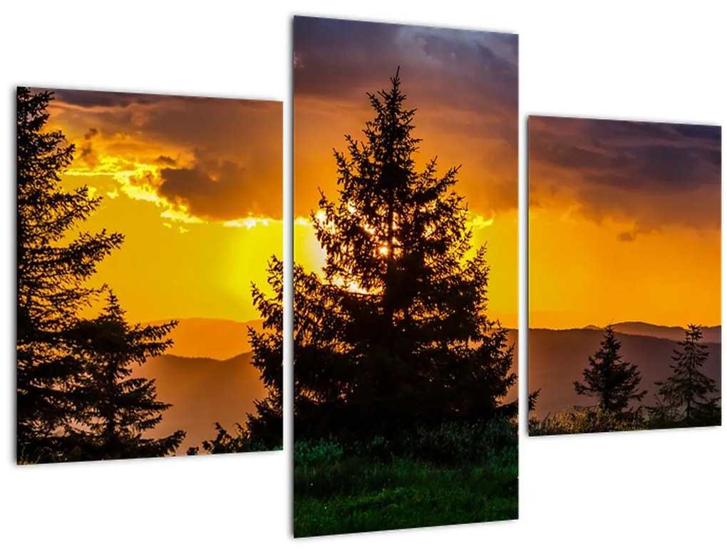 Tablou - coniferi (90x60 cm)