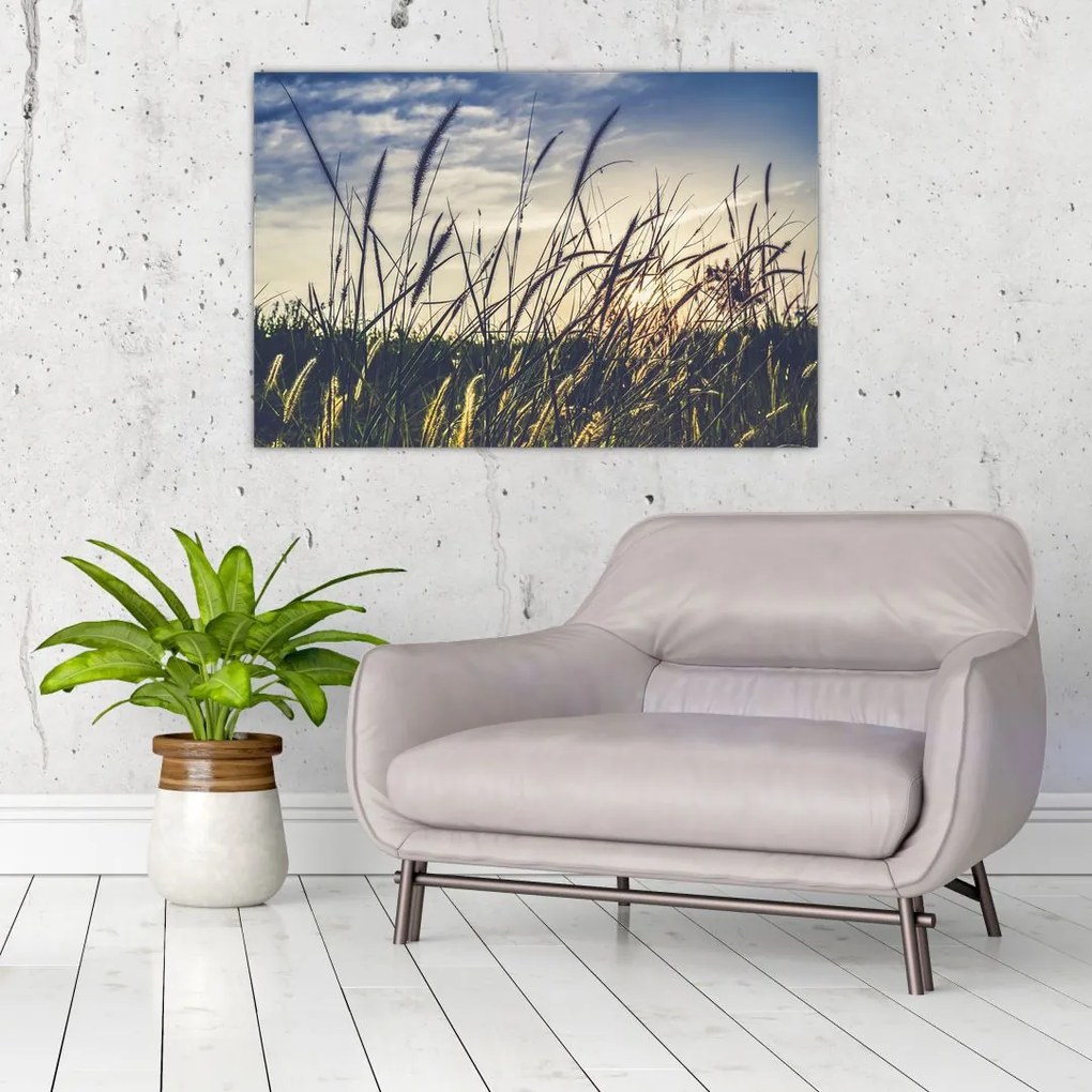 Tablou cu flori de câmp (90x60 cm)