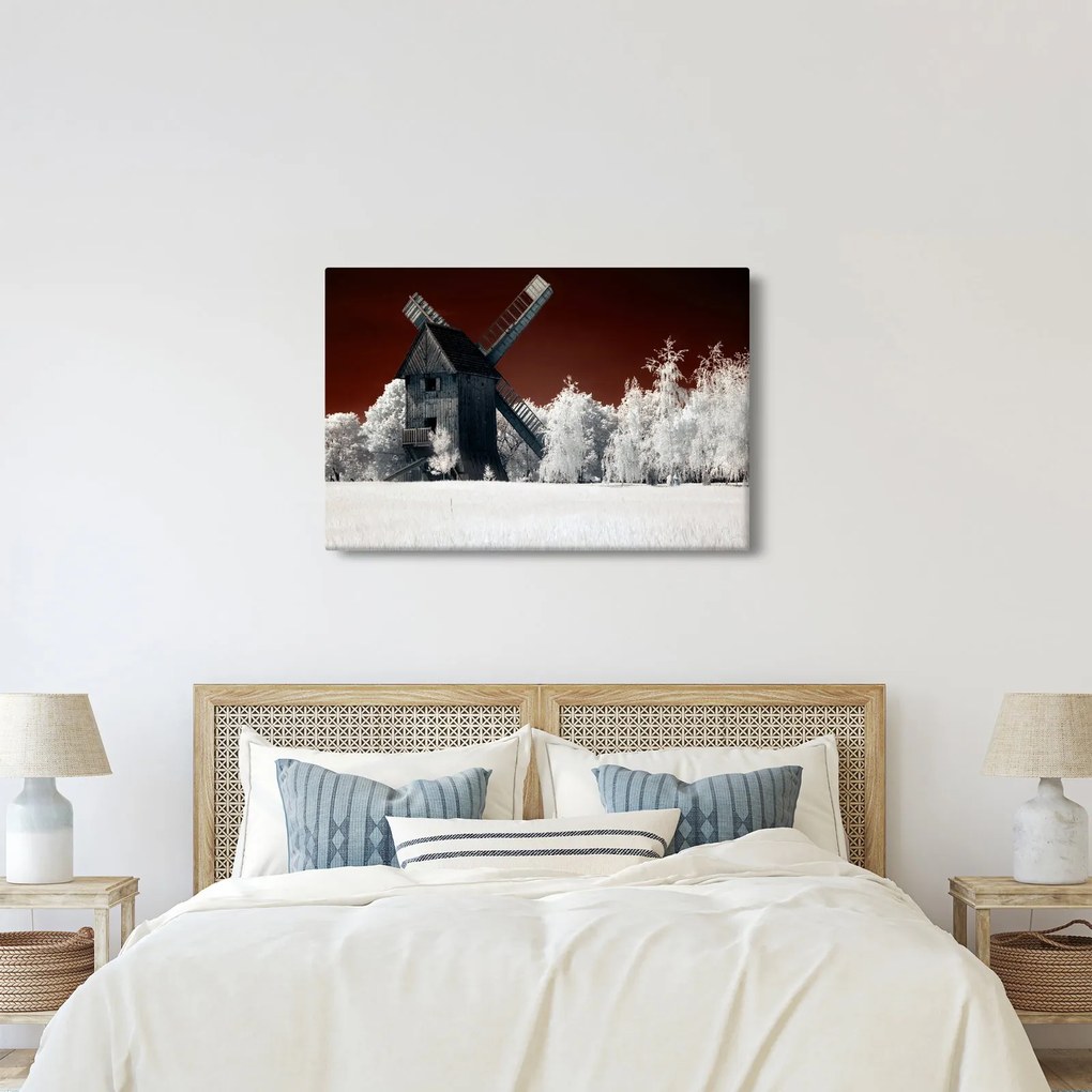 Tablou cu moară (90x60 cm)