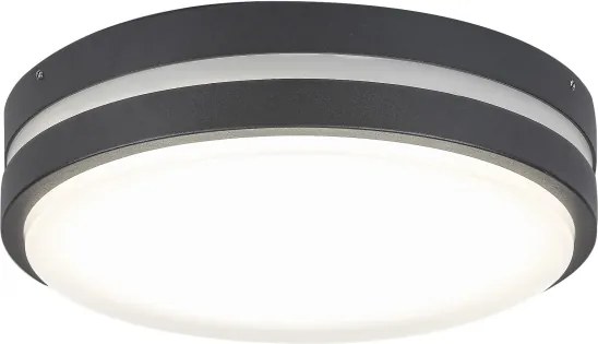 Rabalux 8847 - Aplică perete exterior LED HAMBURG LED/10W/230V IP44