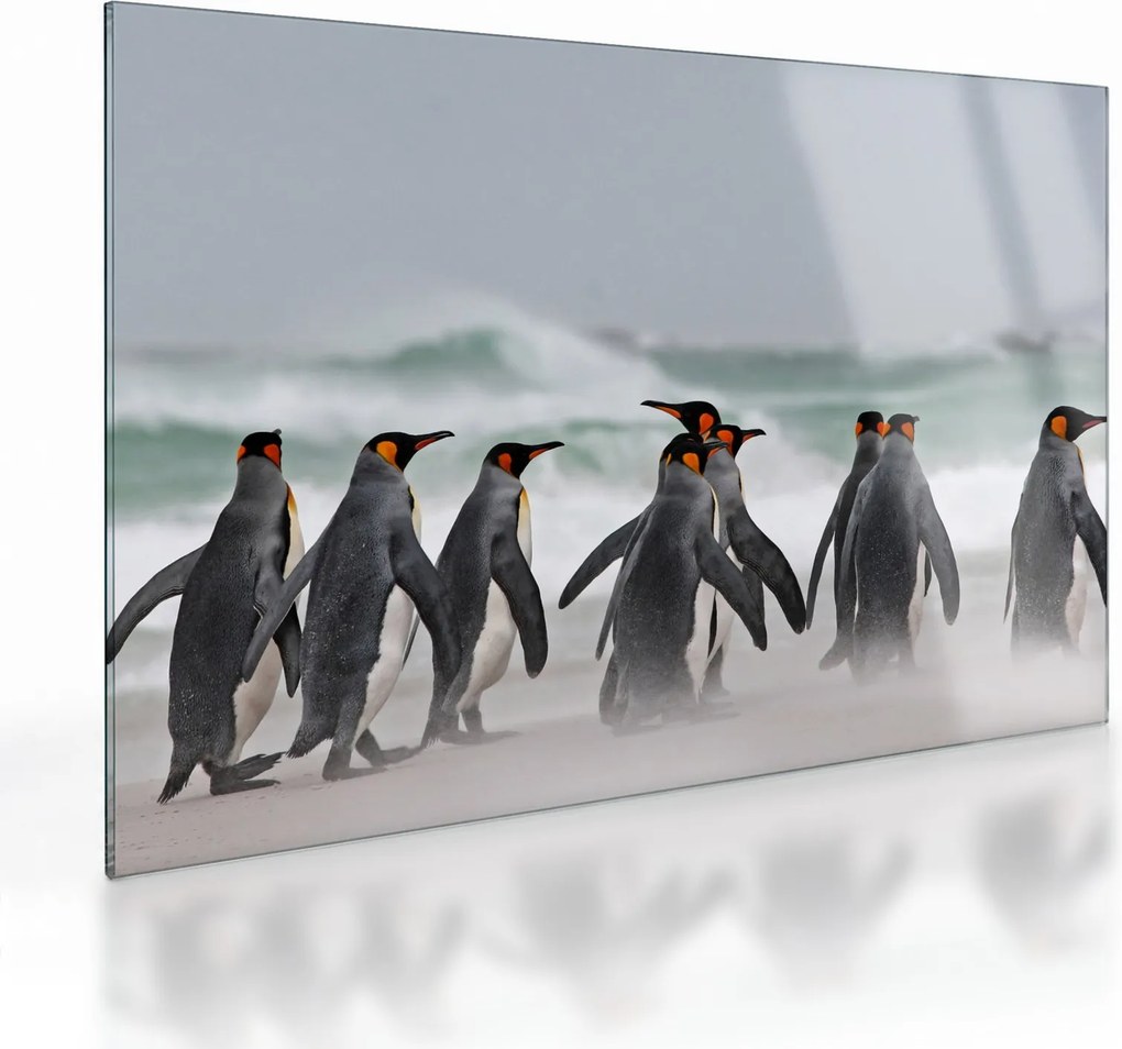 Tablou pe sticlă pinguini în ocean (70x50 cm)