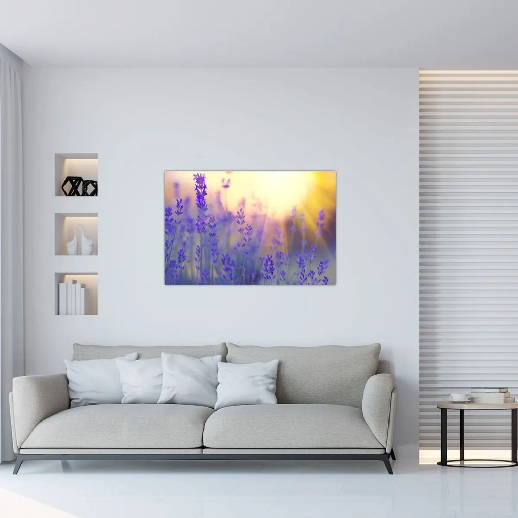 Tablou - Levănțică (90x60 cm)