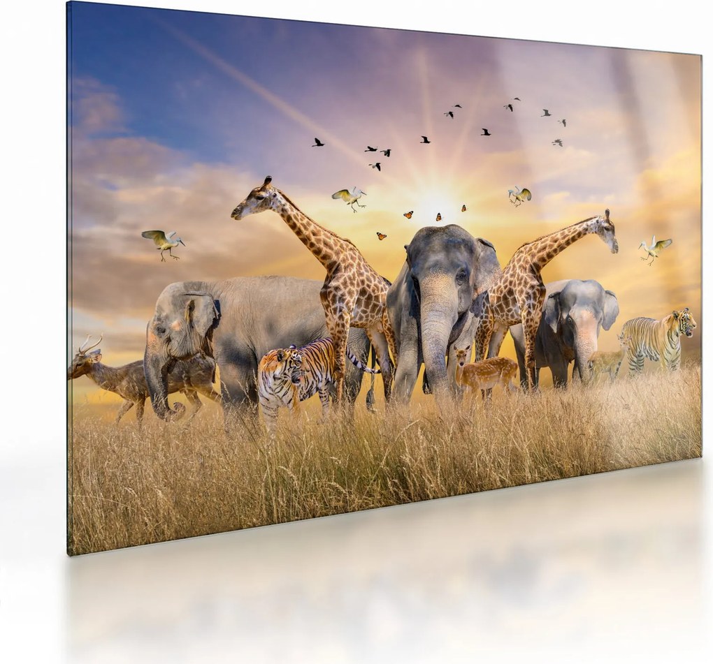 Tablou pe sticlă - Animae din Africa (70x50 cm)