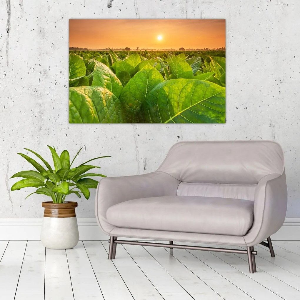 Tablou - Câmp (90x60 cm)