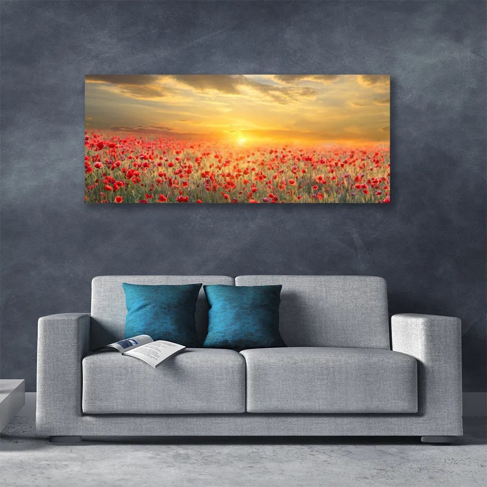 Tablou pe panza canvas Sun Meadow Poppy Flori Natura Galben Roșu Verde