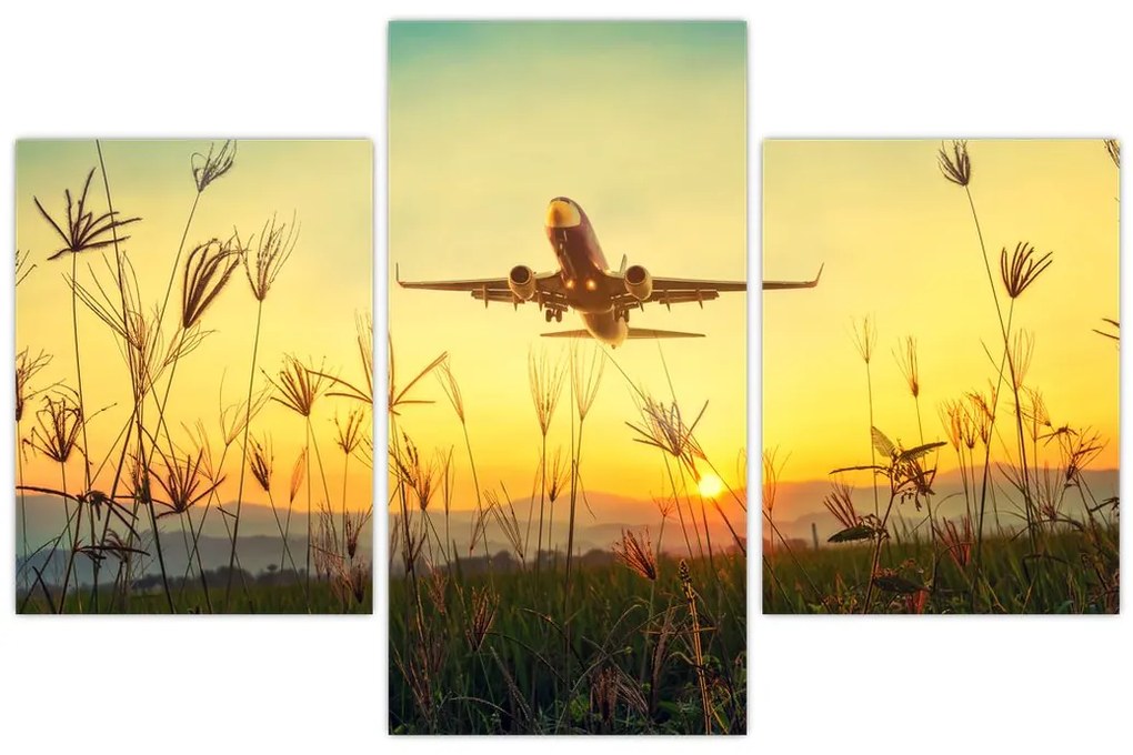 Tablou cu avion zburând (90x60 cm)
