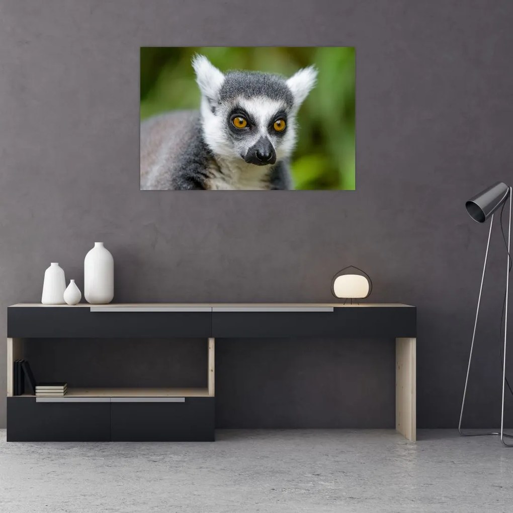 Tablou cu lemur (90x60 cm)