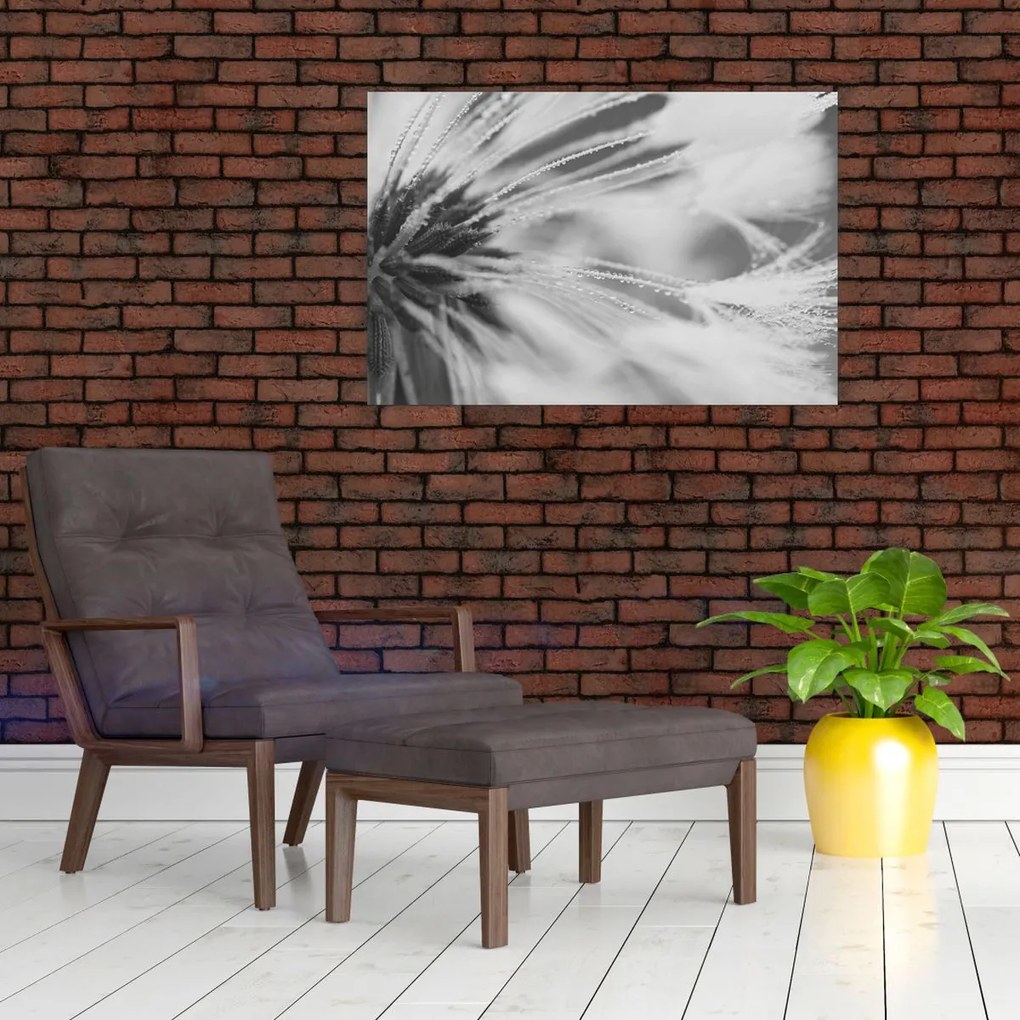 Tablou - Păpădie (90x60 cm)