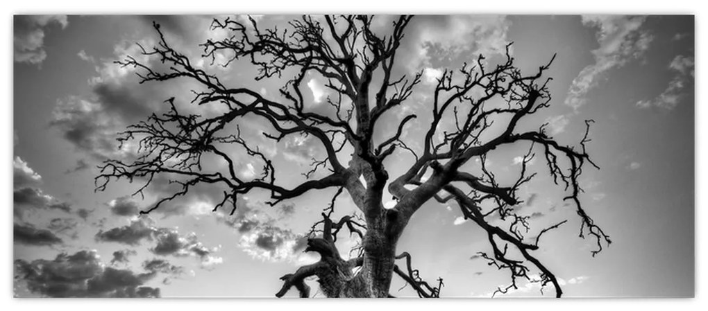 Tablou - Copacul, alb-negru (120x50 cm)