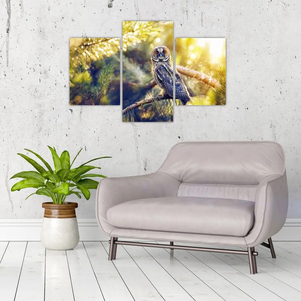Tablou - Bufniță în copac (90x60 cm)