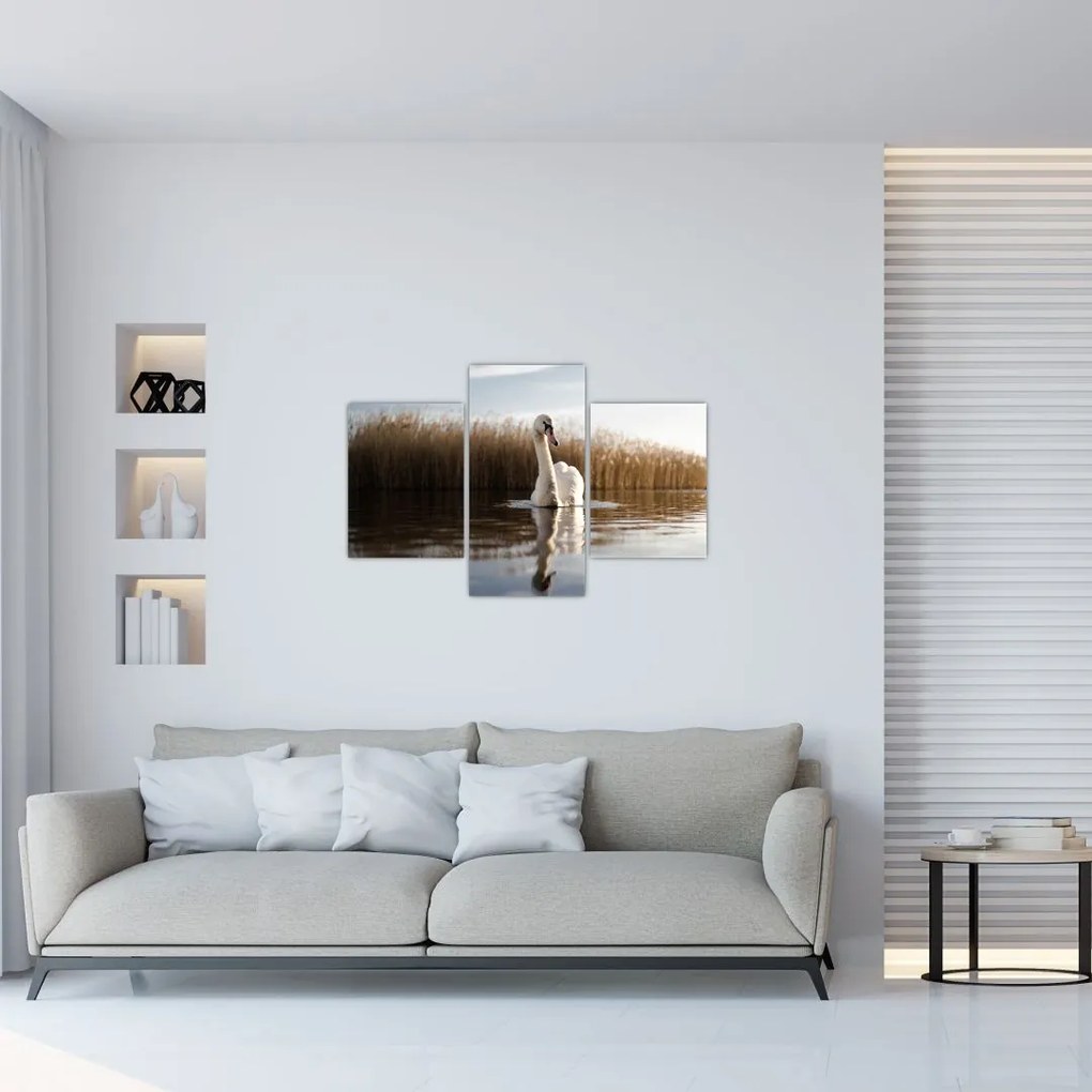 Tablou cu lebăda (90x60 cm)