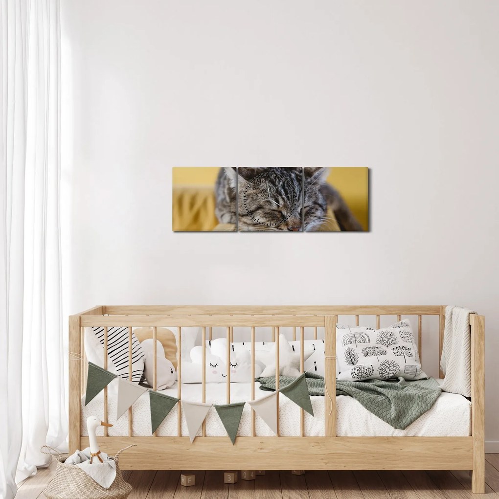 Tablou cu pisica pe fotoliu (cu ceas) (90x30 cm)