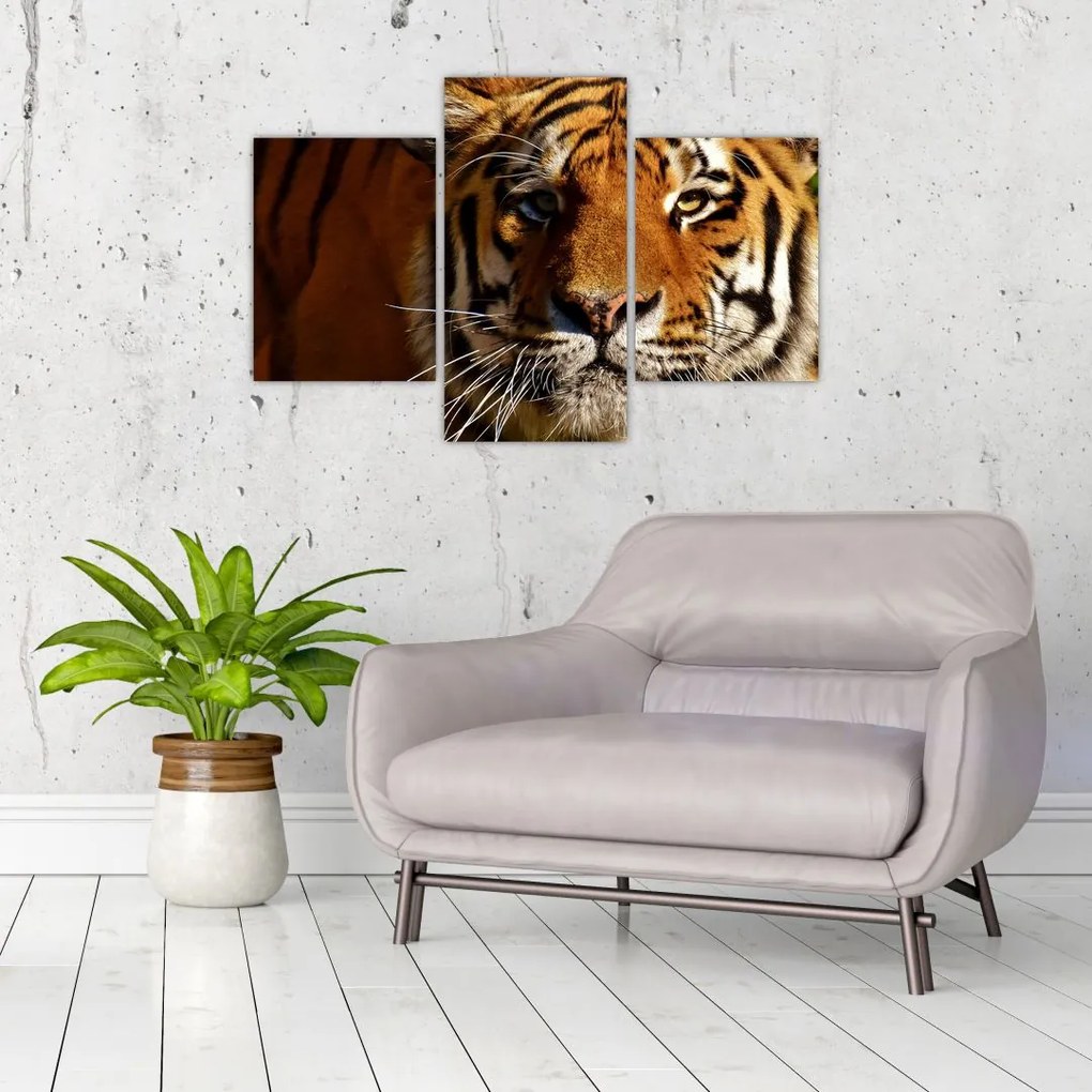 Tablou cu tigrul (90x60 cm)