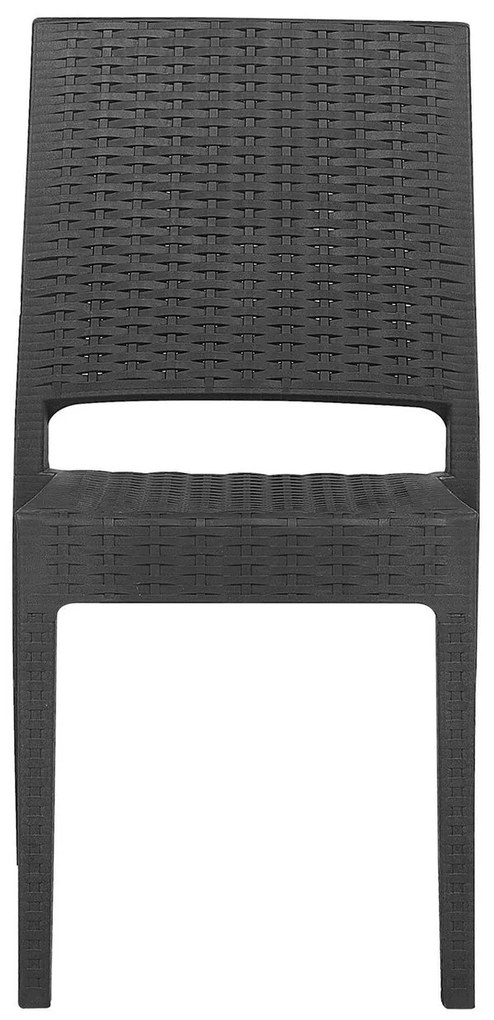 Set scaune 2 buc. Fossil (grafit). 1011527