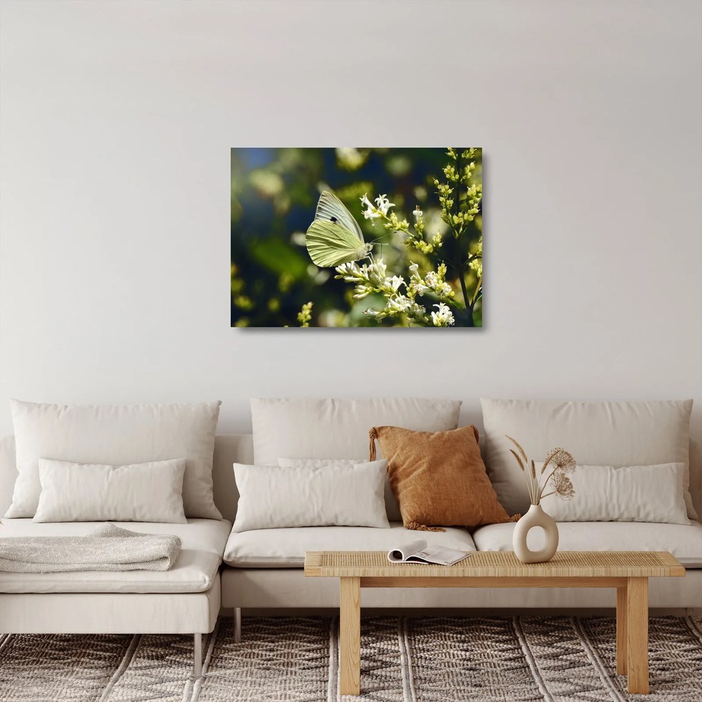 Tablou pe sticlă cu fluture (70x50 cm)