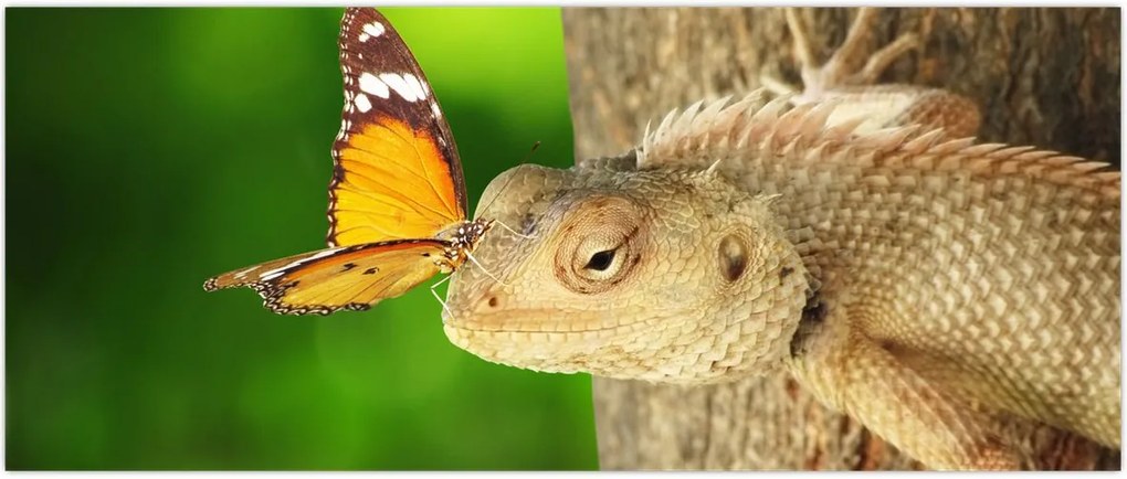 Tablou - Șopârlă (120x50 cm)