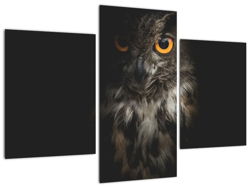 Tablou cu bufnița (90x60 cm)