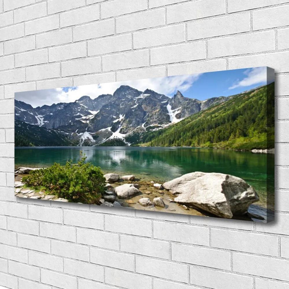 Tablou pe panza canvas Lacul Munții Peisaj Albastru Gri Alb