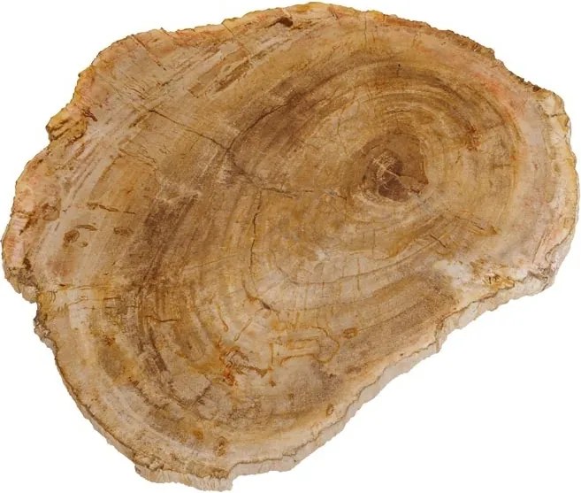 Tocator din lemn, D30cm, Petri