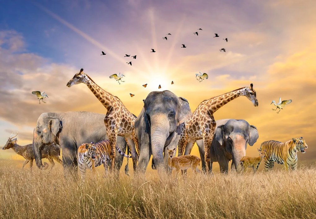Fototapet - Safari (147x102 cm)