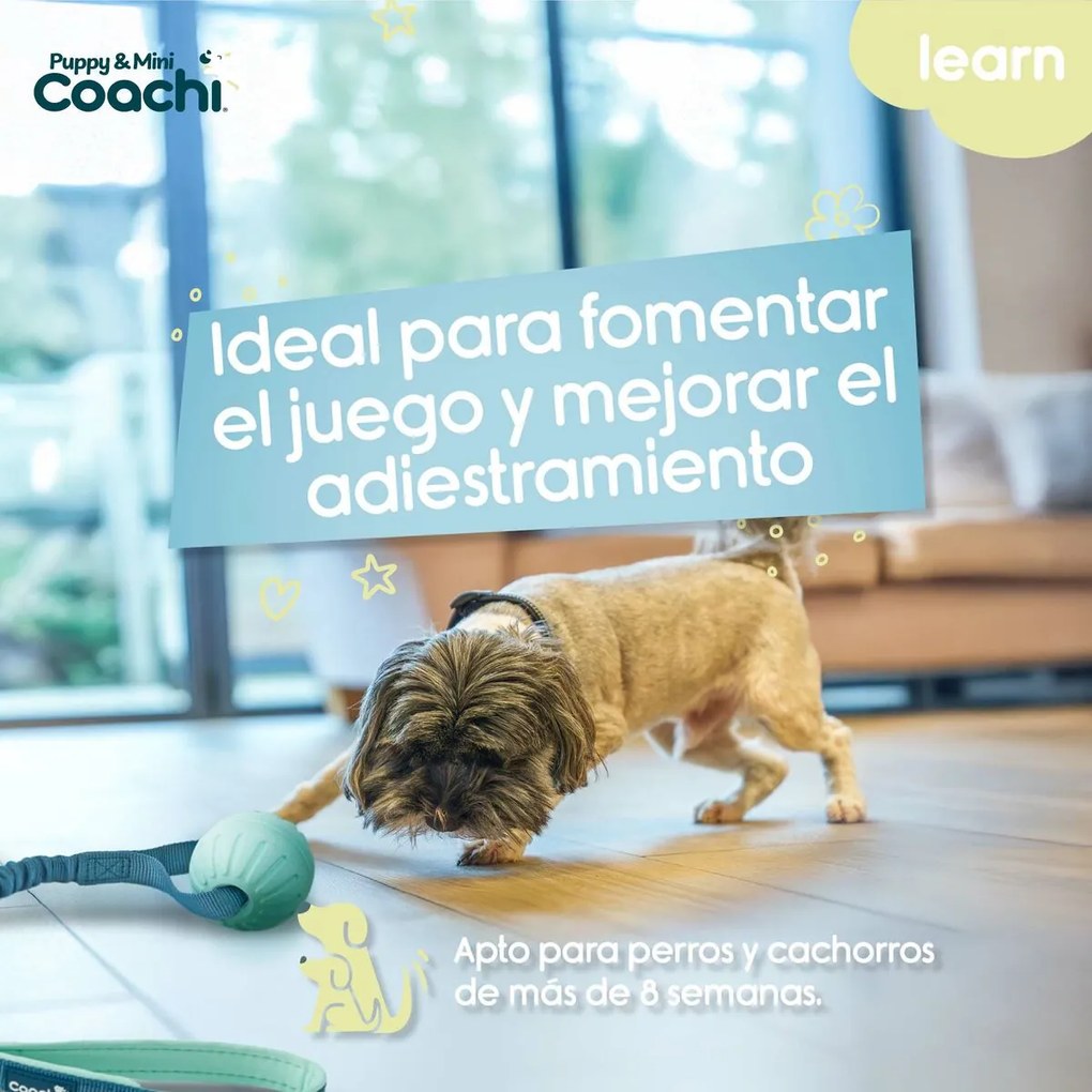 Ham pentru câini Coachi