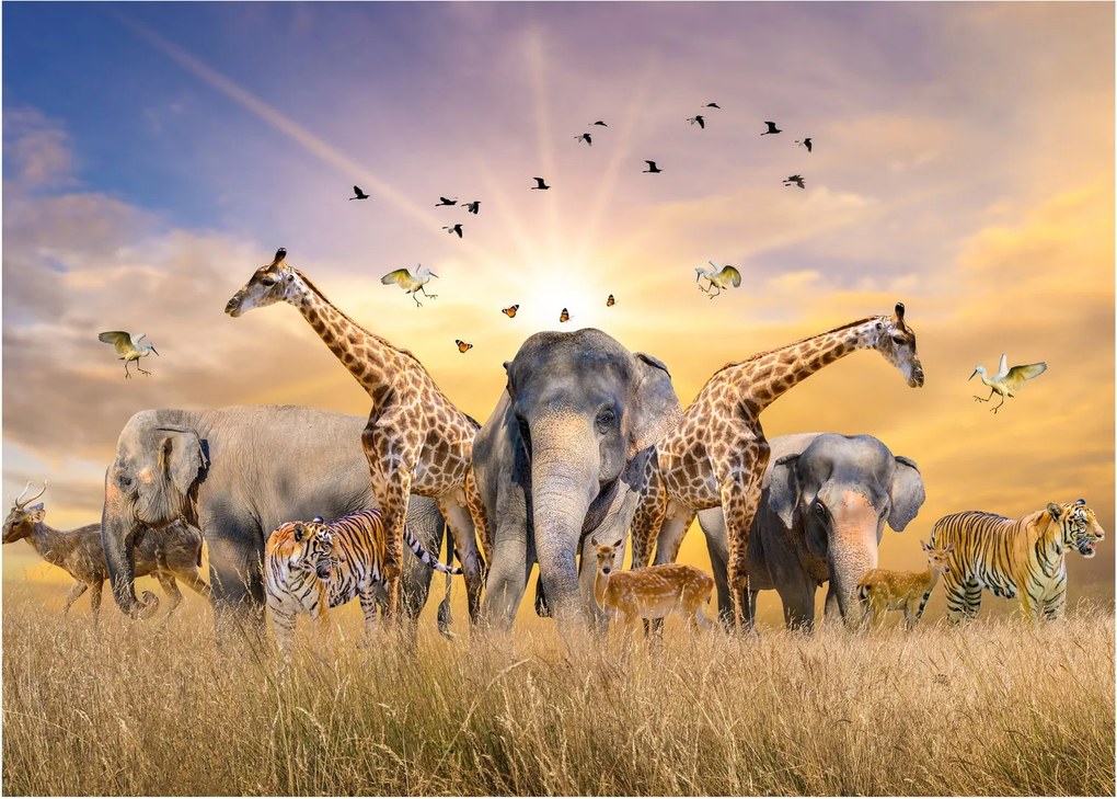 Tablou pe sticlă - Animae din Africa (70x50 cm)