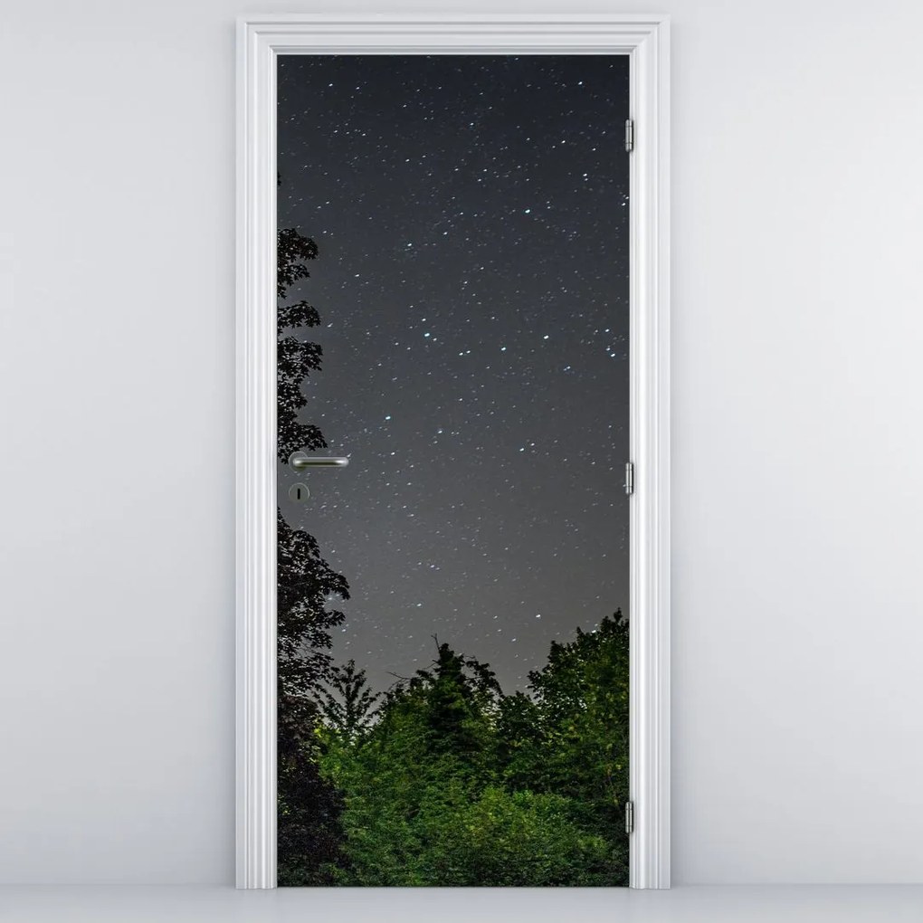 Fototapet pentru ușă - Cerul noaptea (95x205cm)