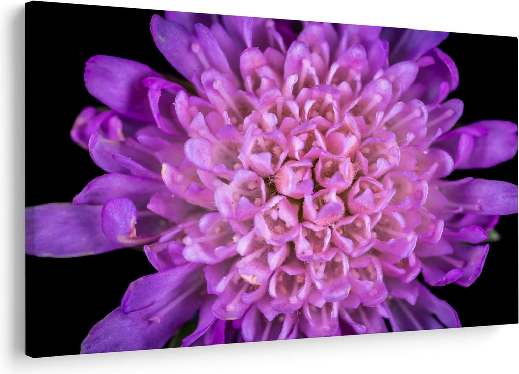 Tablou detailat cu floare (90x60 cm)