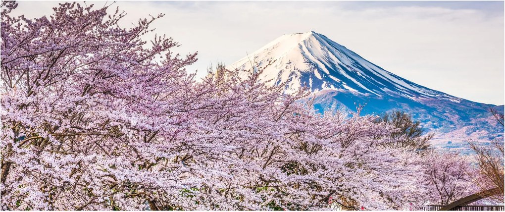 Tablou - Japonia în primăvară (120x50 cm)