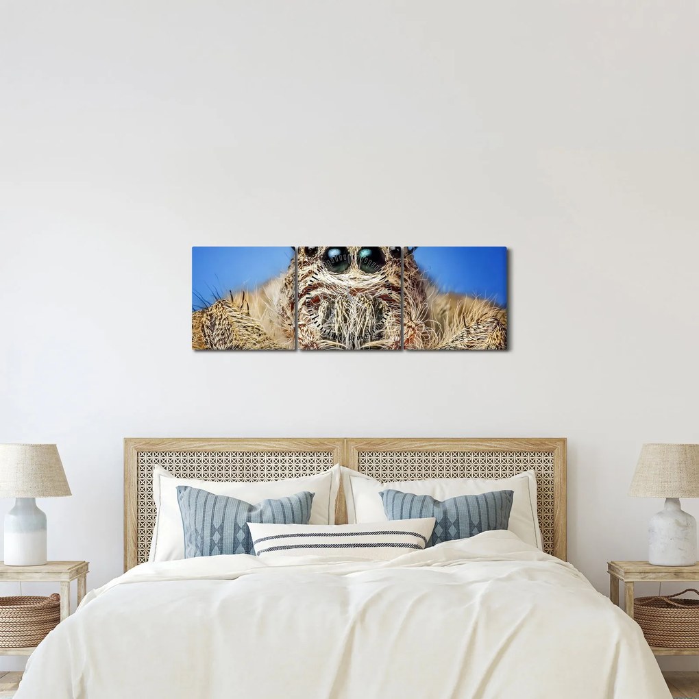 Tablou cu detalii a unui pâianjen (cu ceas) (90x30 cm)