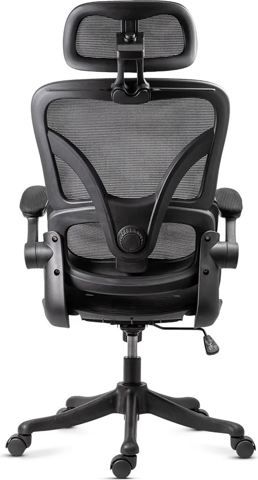 Scaun de birou ergonomic din mesh cu brațe rabatabile OFF 440 negru