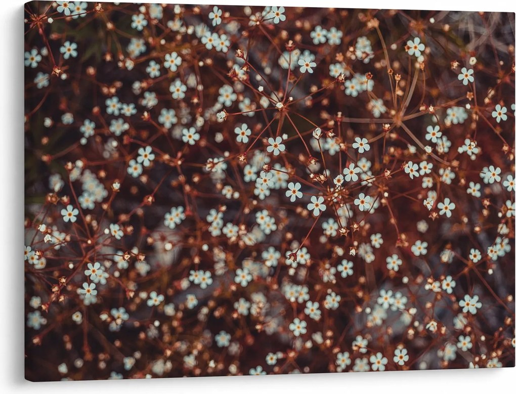 Tablou cu floare de nu mă uita (70x50 cm)