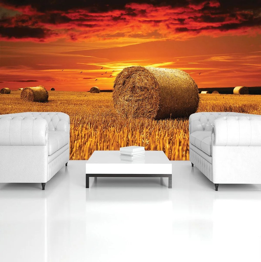 Fototapet - Câmp (152,5x104 cm)