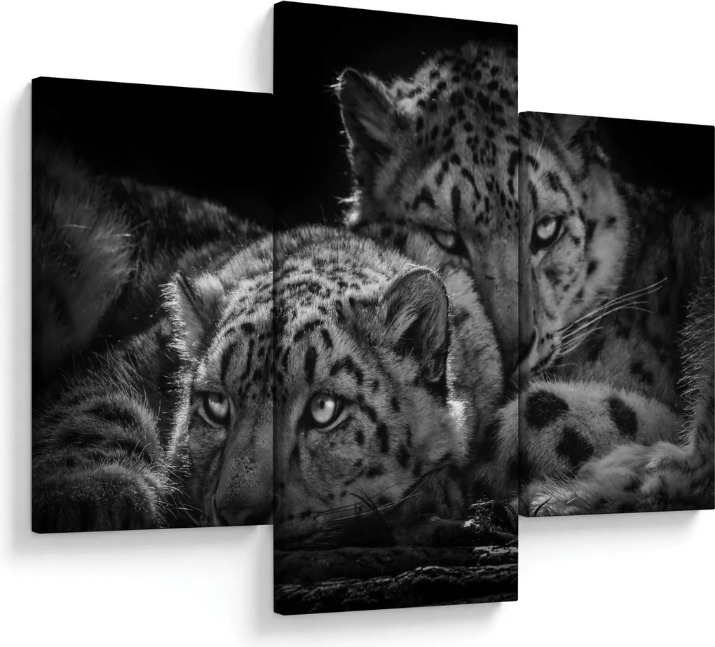 Tablou - Gheparzi care se odihnesc (90x60 cm)