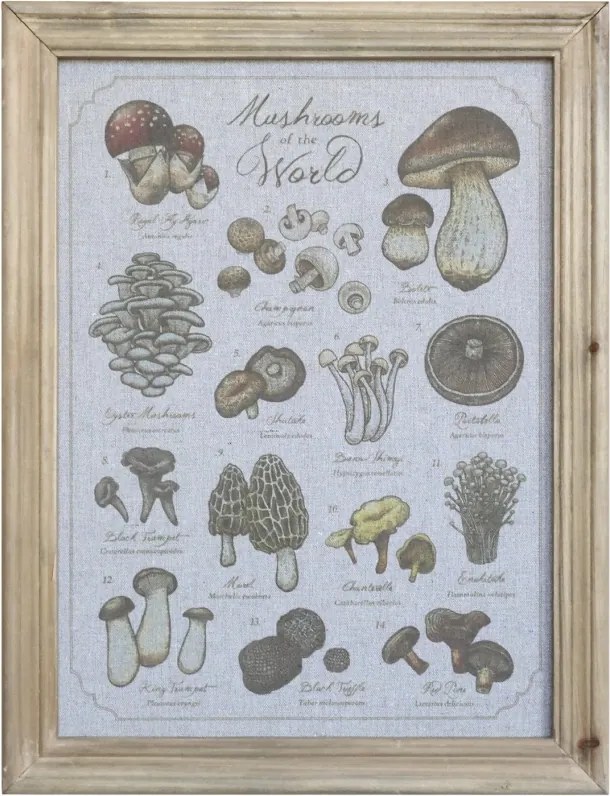 Tablou decorativ pe pânză cu motiv ciuperci și ramă din lemn masiv natur, 43x33x2 cm, „Forêt"
