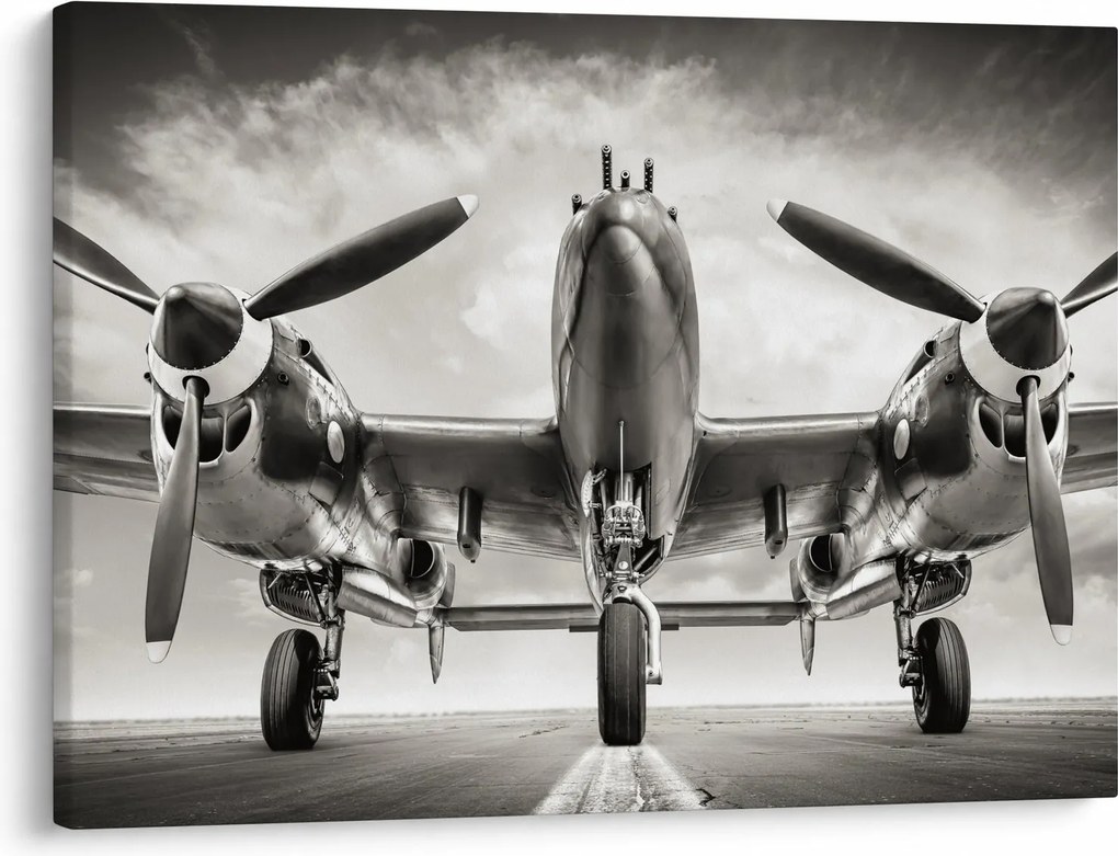Tablou - Warbird (70x50 cm)