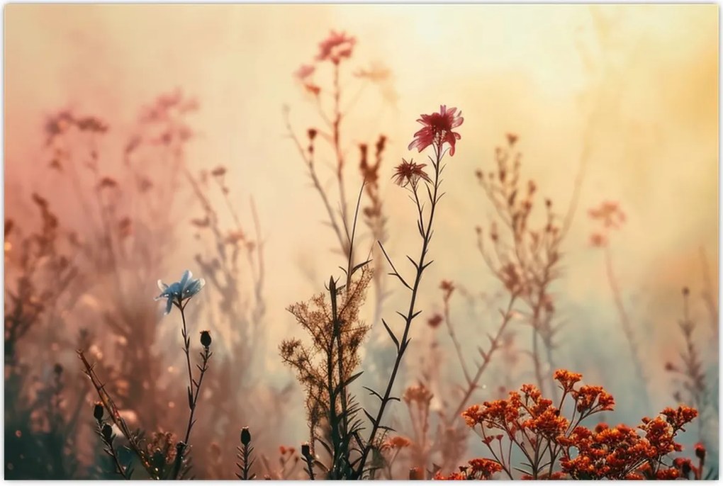 Tablou - Flori sălbatice (90x60 cm)