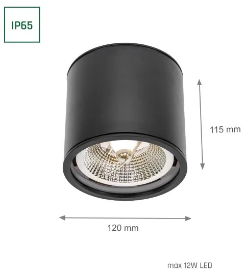 Spot pentru baie CHLOE AR111 1xGU10/12W/230V IP65 negru rotund