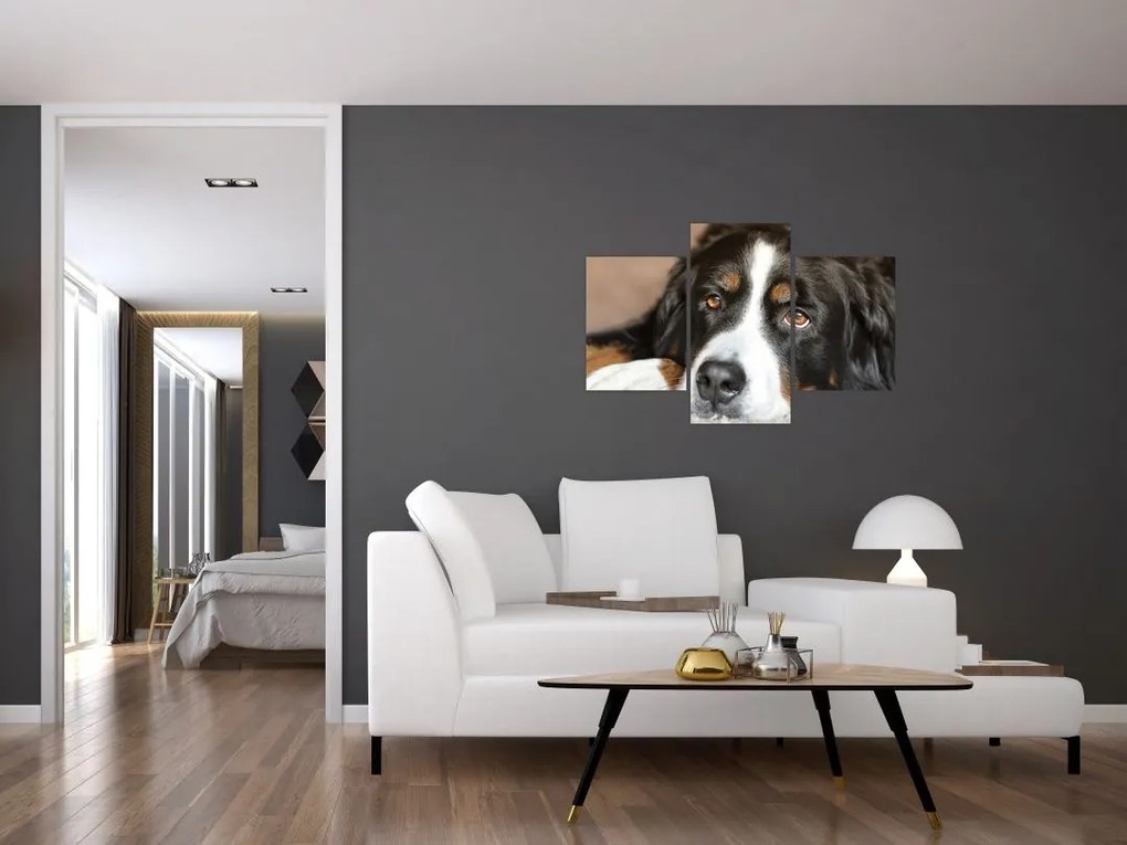 Tablou cu câine (90x60 cm)
