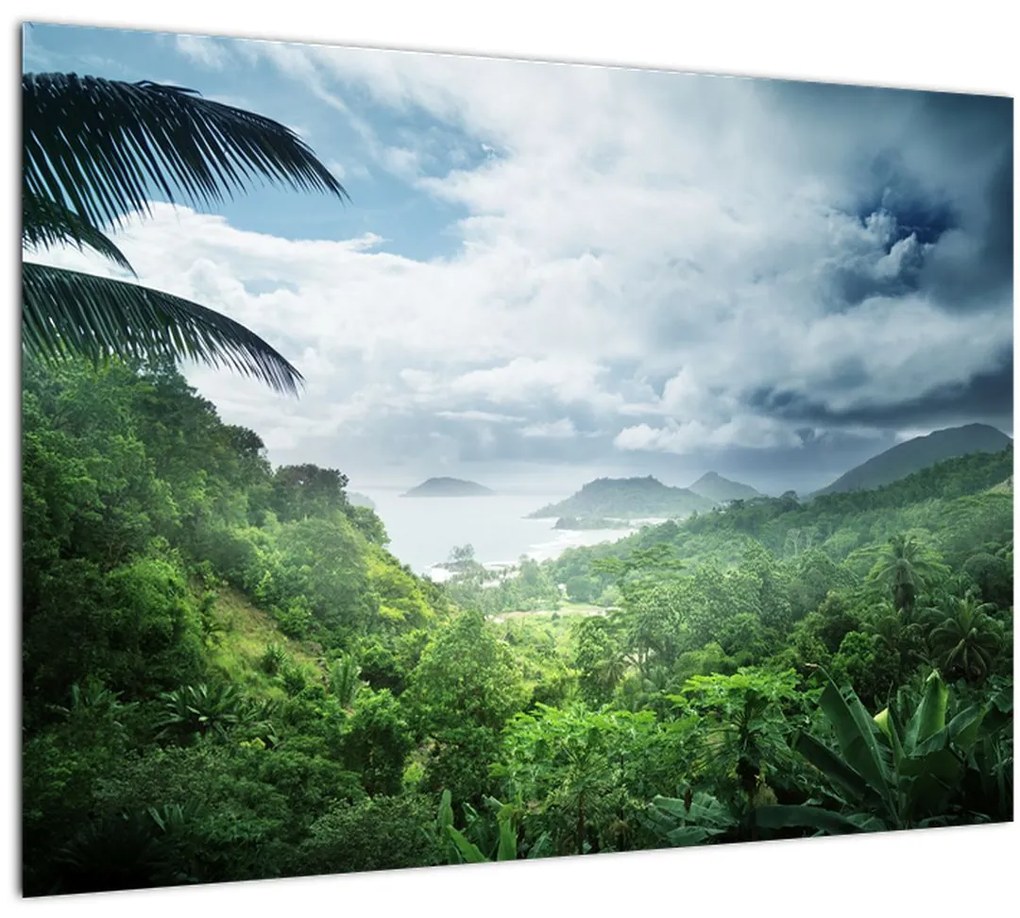 Tablou -Jungla din Seychelles (70x50 cm)