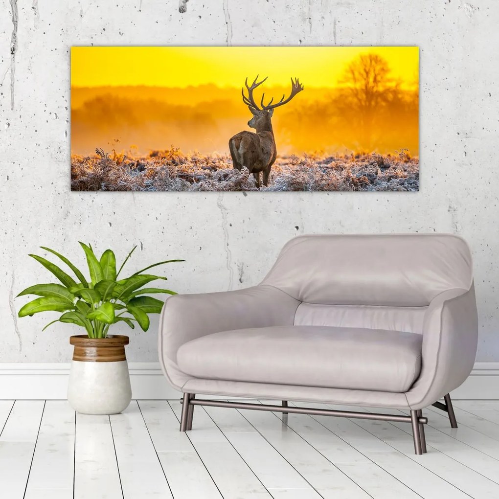 Tablou - Cerb la răsăritul soarelui (120x50 cm)