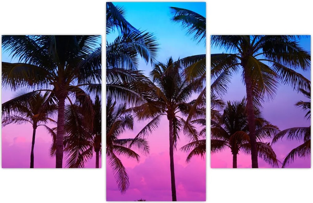 Tablou - Palmieri din Miami (90x60 cm)